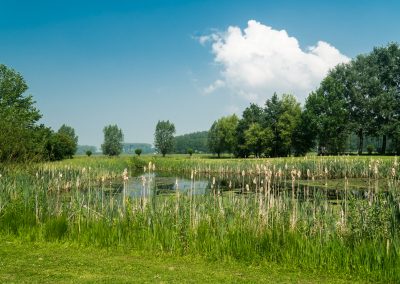 Golfen op Golfbaan Landgoed Welderen