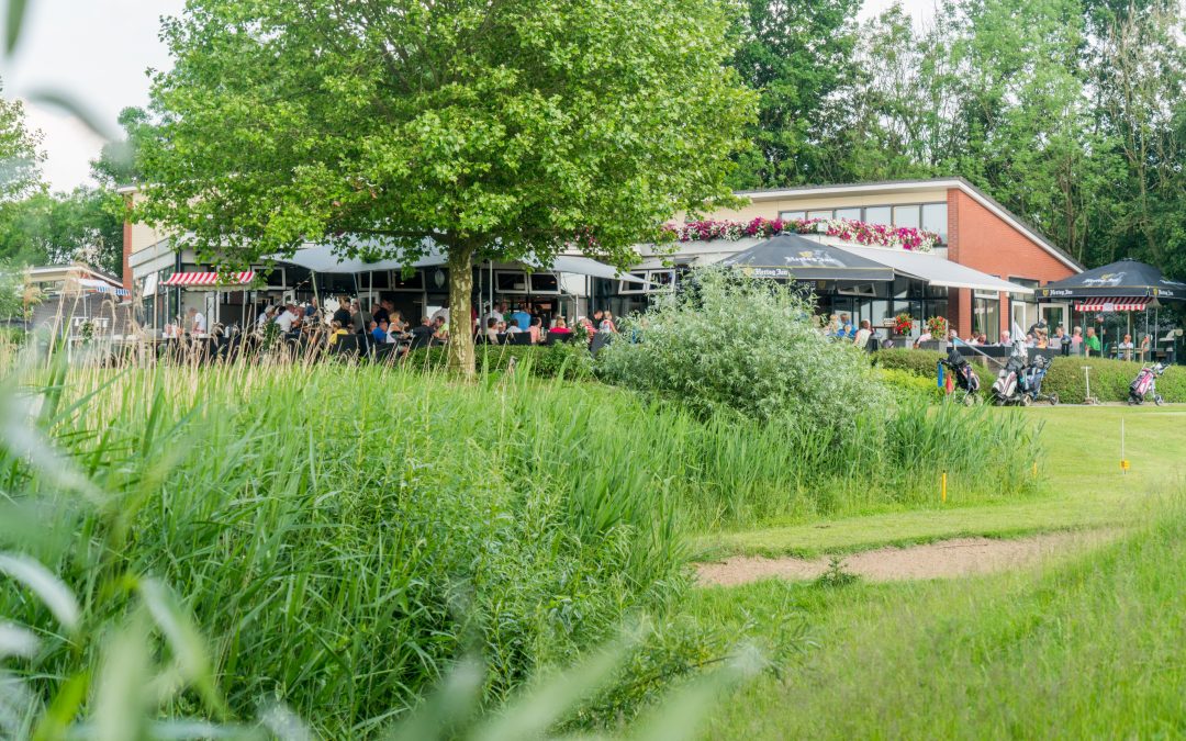 Zomerlidmaatschapsactie