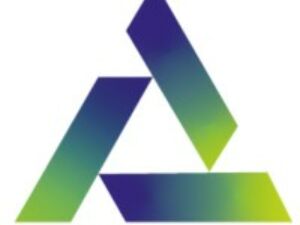 Logo Zijm-BI